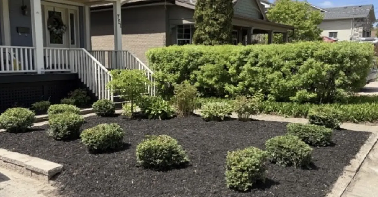 Manicured garden beds, shrubs, and fresh mulch landscaped by Edwards Landscape and Construction at a North Bay home