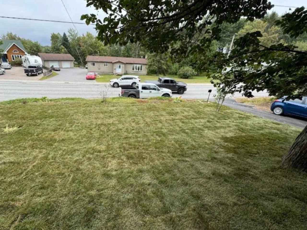 Established green front lawn landscaped by Edwards Landscape and Construction in North Bay