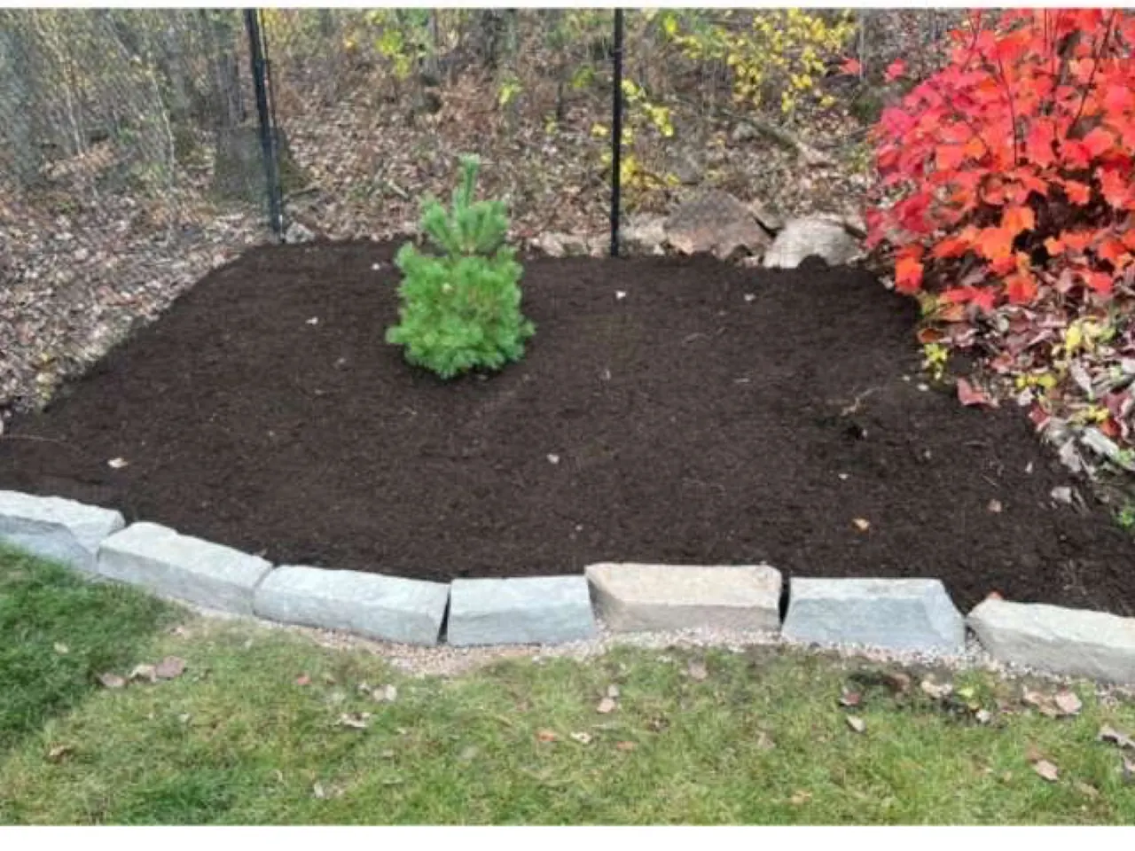 Garden bed with fresh mulch, stone edging, and planting by Edwards Landscape and Construction in North Bay