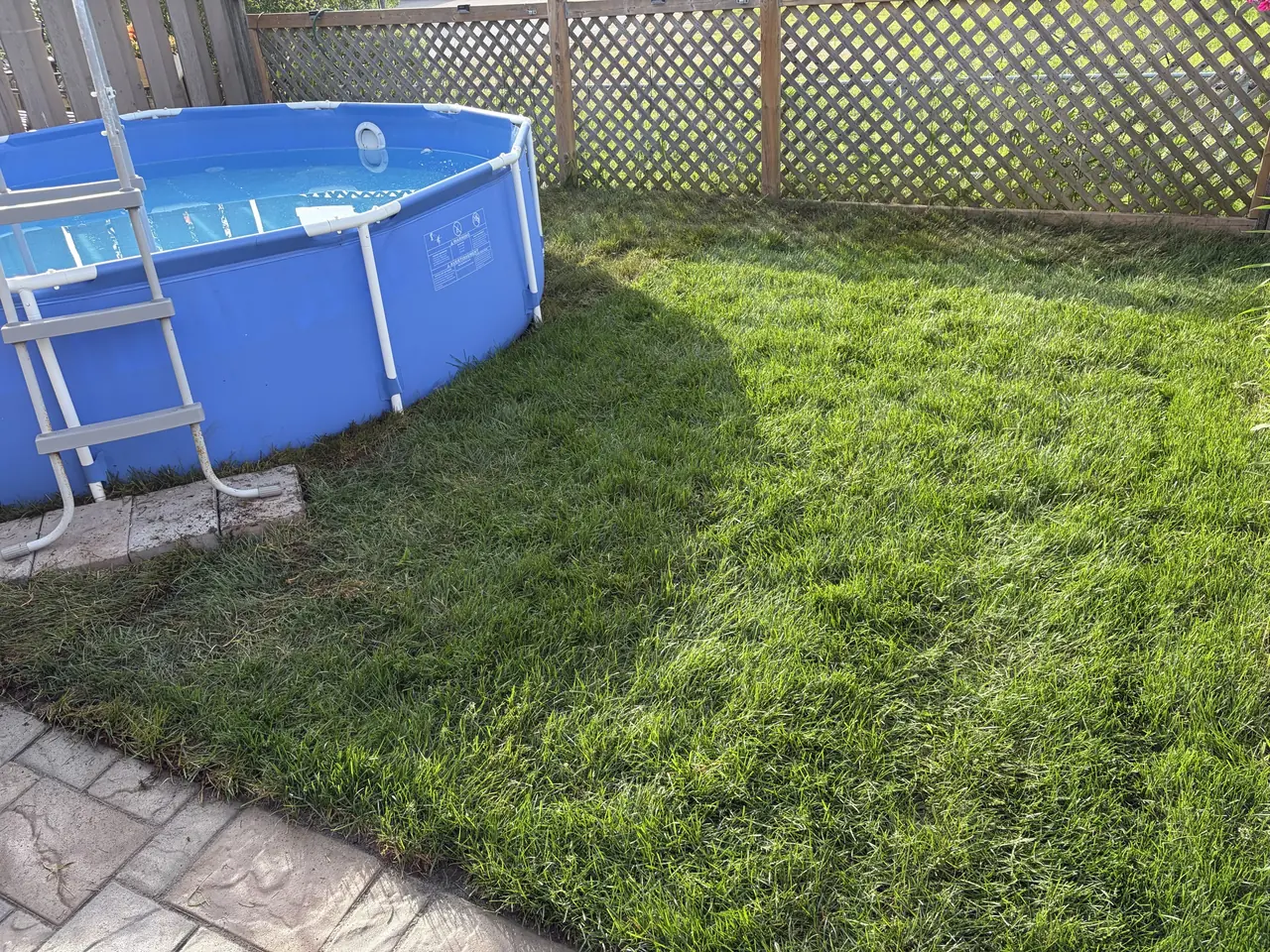 New sod lawn with interlock border around a backyard pool by Edwards Landscape and Construction in North Bay